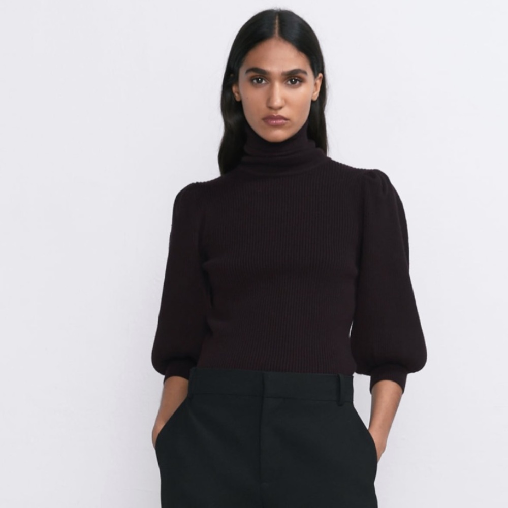 Zara Dark Brown Turtleneck Sweater